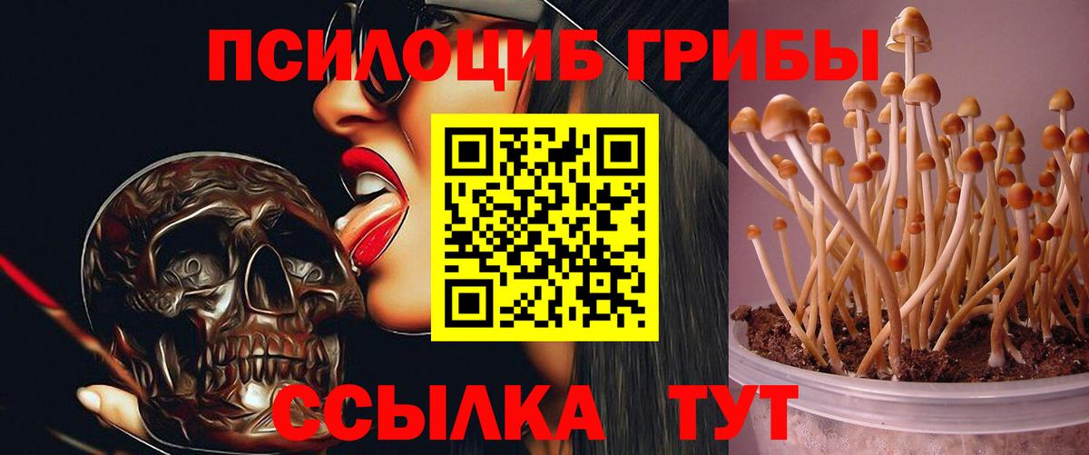 Псилоцибиновые грибы ЛСД Кизляр