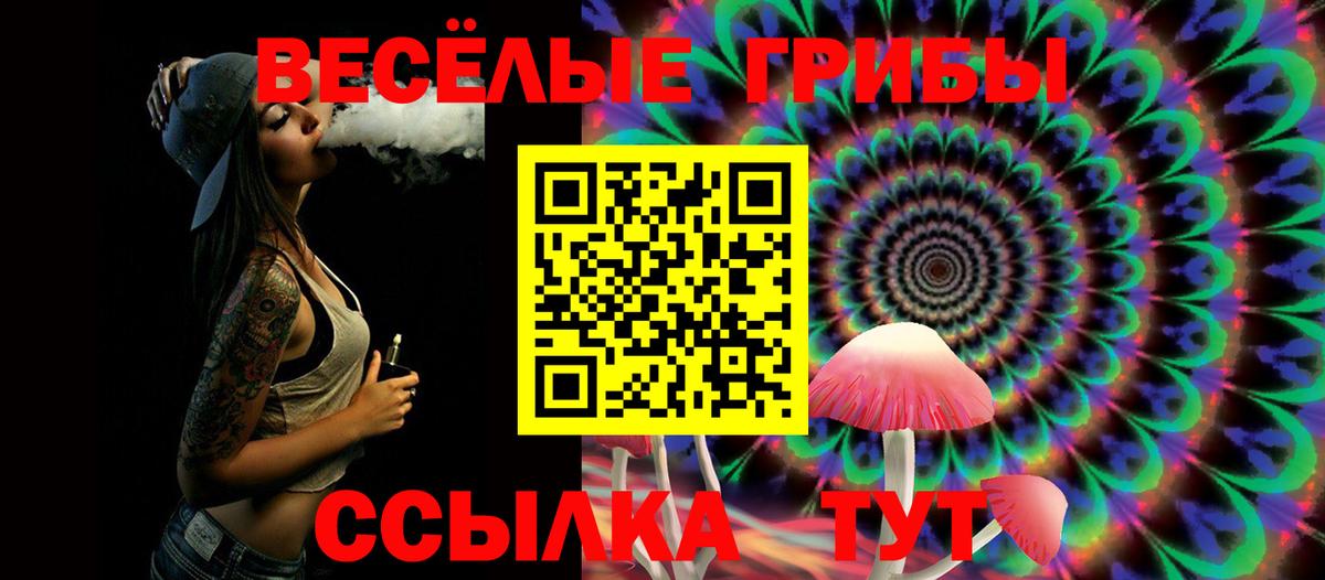 Псилоцибиновые грибы прущие грибы  наркота  Кизляр  Вход с VPN 